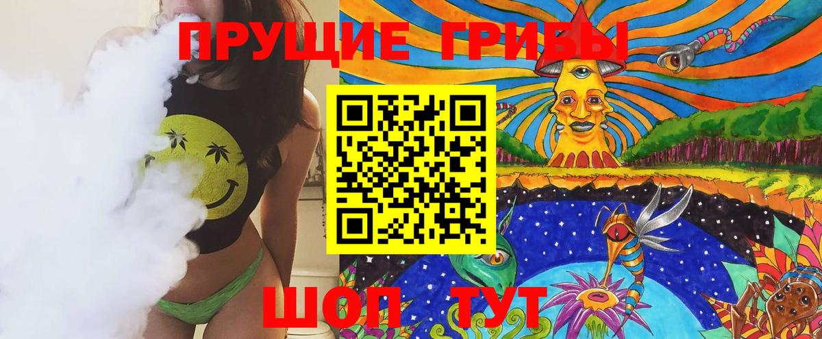 Энгельс  Псилоцибиновые грибы Cubensis  Вход с VPN 